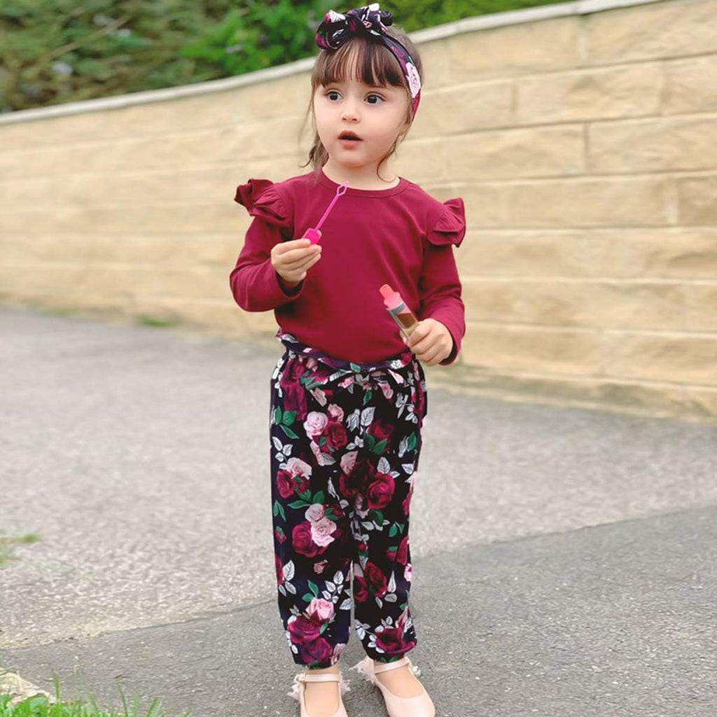 Toddler Baby Girl Clothes Set (1-6Y) Long Sleeves Sweatshirt and Pants Outfits Toddler Girl Spring Summer Fall Clothing Set