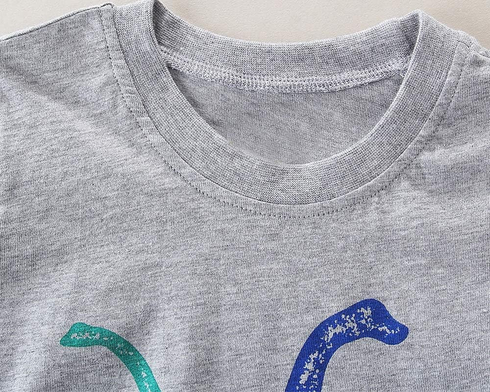 Little Boys' Cotton Clothing Sets, Short Sleeve T-Shirt and Shorts