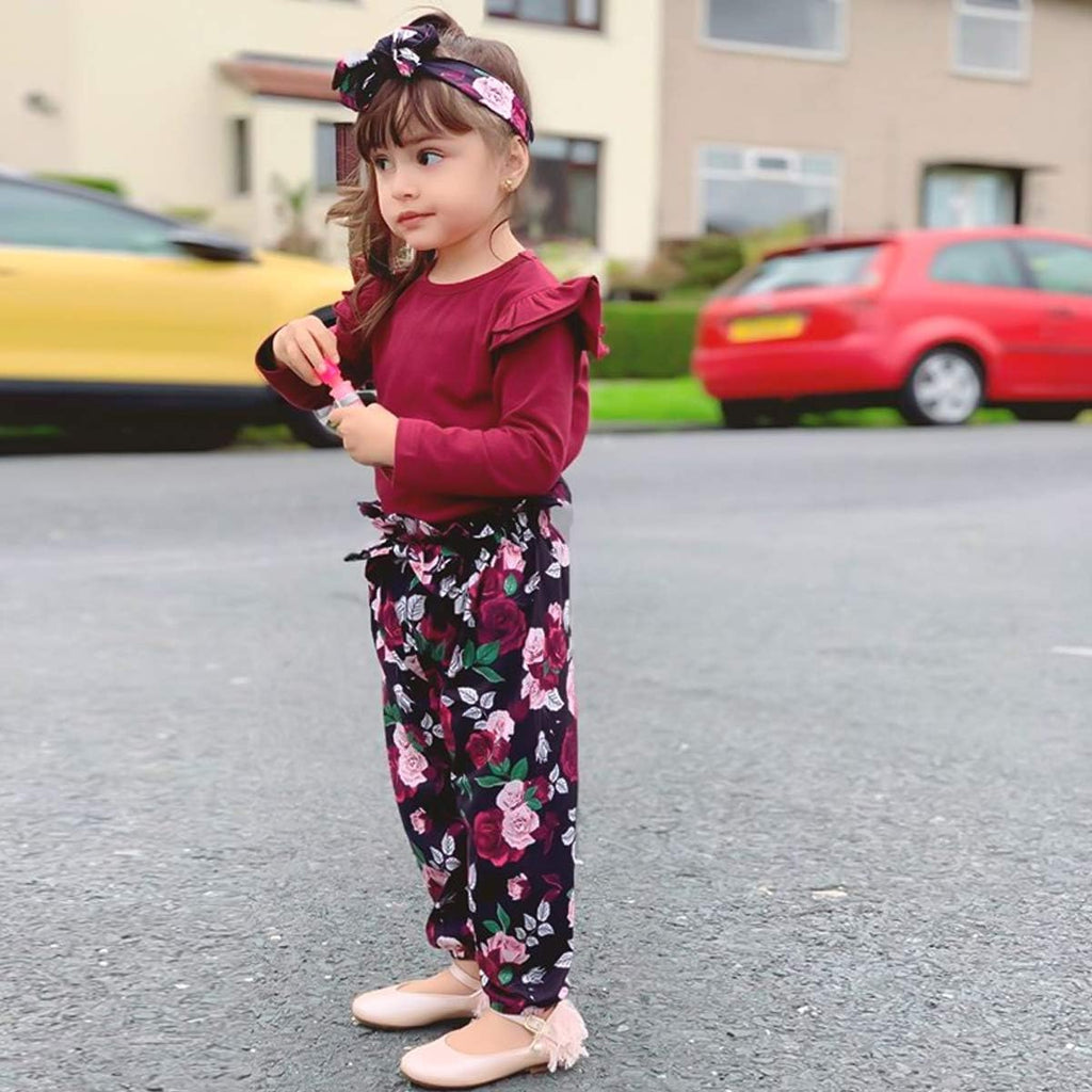 Toddler Baby Girl Clothes Set (1-6Y) Long Sleeves Sweatshirt and Pants Outfits Toddler Girl Spring Summer Fall Clothing Set